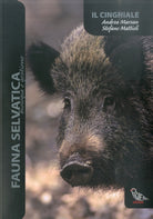 Cover of cinghiale
