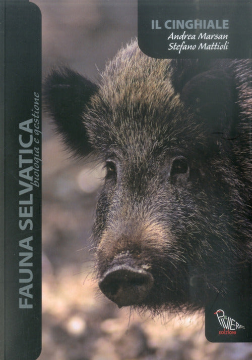 Cover of cinghiale