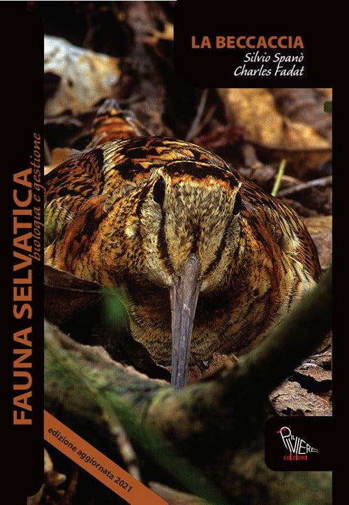 Cover of beccaccia