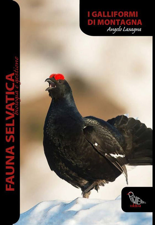 Cover of Galliformi di montagna