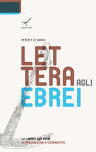 Cover of lettera agli Ebrei. Introduzione e commento