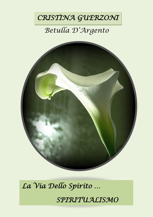 Cover of via dello spirito. Spiritualismo