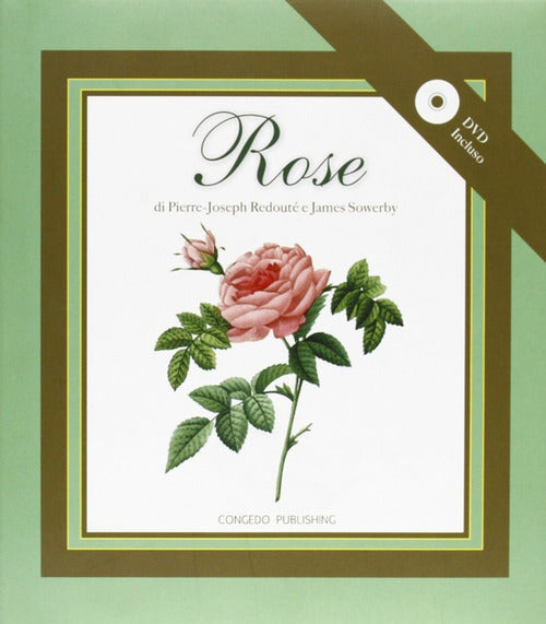 Cover of Rose