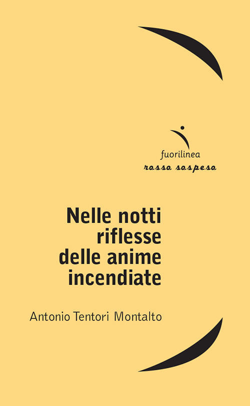 Cover of Nelle notti riflesse delle anime incendiate