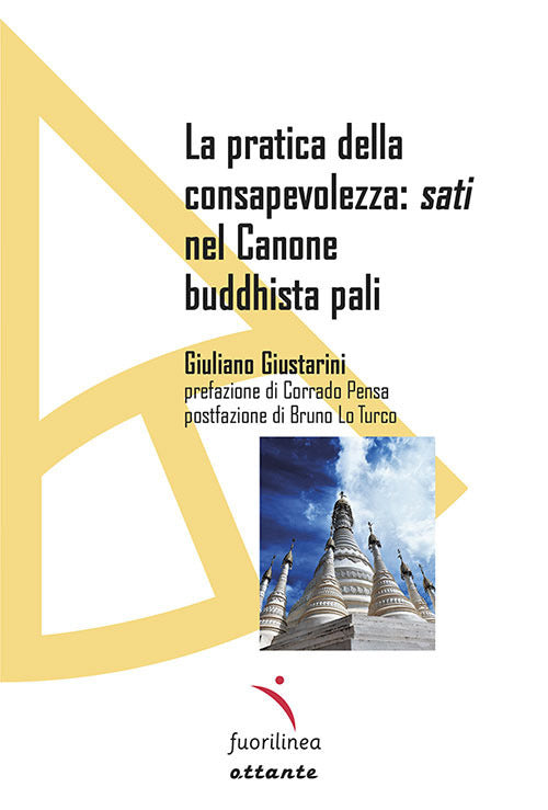 Cover of pratica della consapevolezza: sati nel Canone buddhista pali
