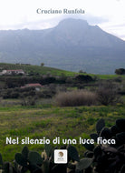 Cover of Nel silenzio di una luce fioca