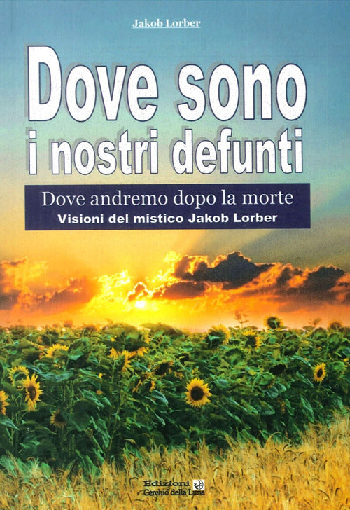 Cover of Dove sono i nostri defunti. Dove andremo dopo la morte
