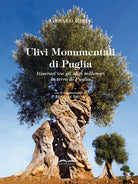 Cover of Ulivi monumentali di Puglia. Itinerari tra gli ulivi millenari in terra di Puglia