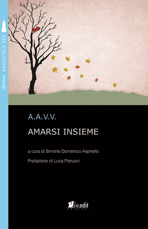 Cover of Amarsi insieme