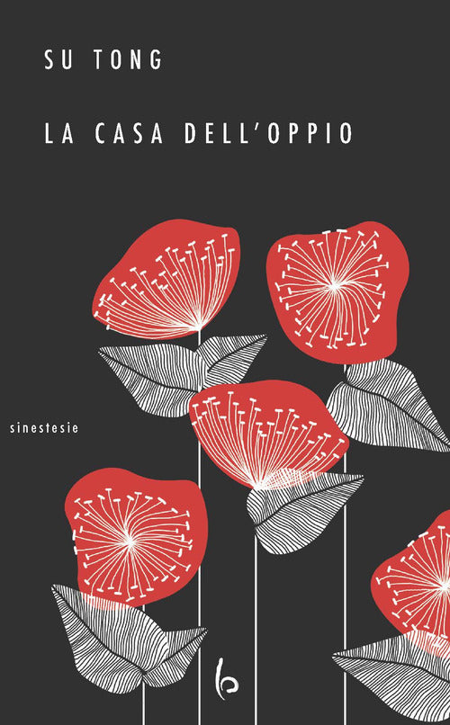 Cover of casa dell'oppio