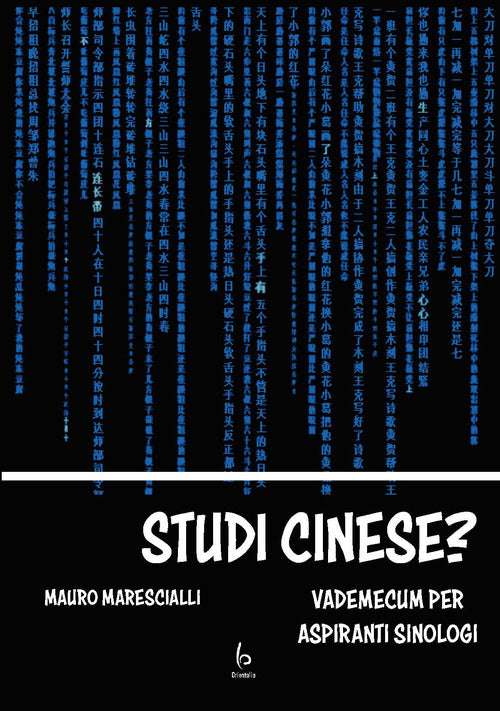Cover of Studi cinese? Vademecum per aspiranti sinologi