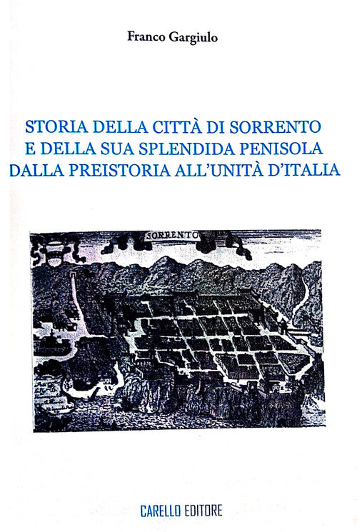 Cover of Storia della città di Sorrento e della sua splendida penisola. Dalla Preistoria all'Unità d'Italia