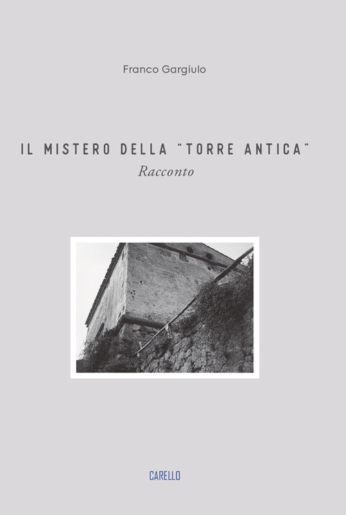 Cover of mistero della «torre antica»