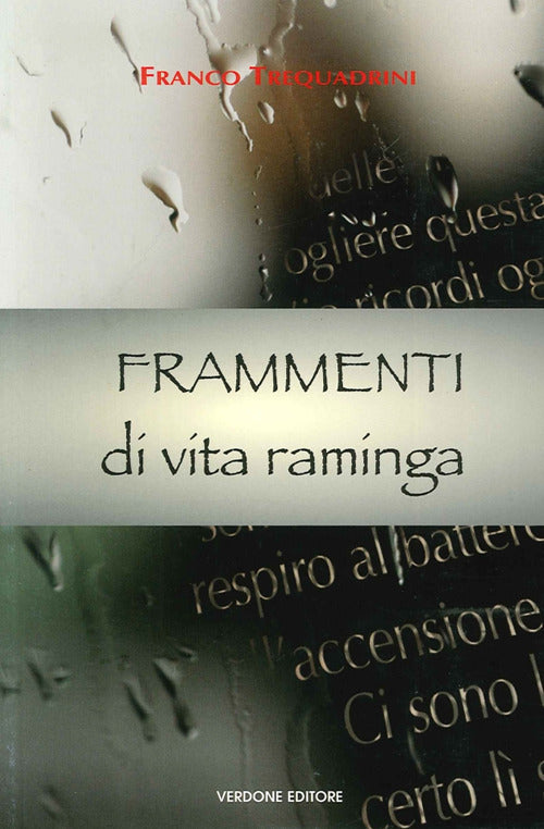 Cover of Frammenti di vita raminga