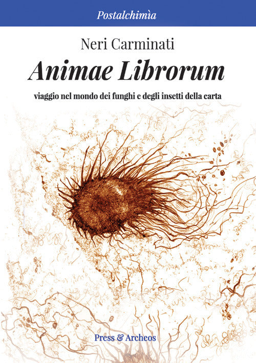 Cover of Animae librorum. Viaggio nel mondo dei funghi e degli insetti della carta