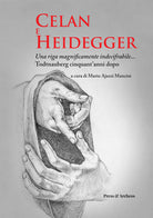 Cover of Celan e Heidegger. Una riga magnificamente indecifrabile... Todtnauberg cinquant'anni dopo