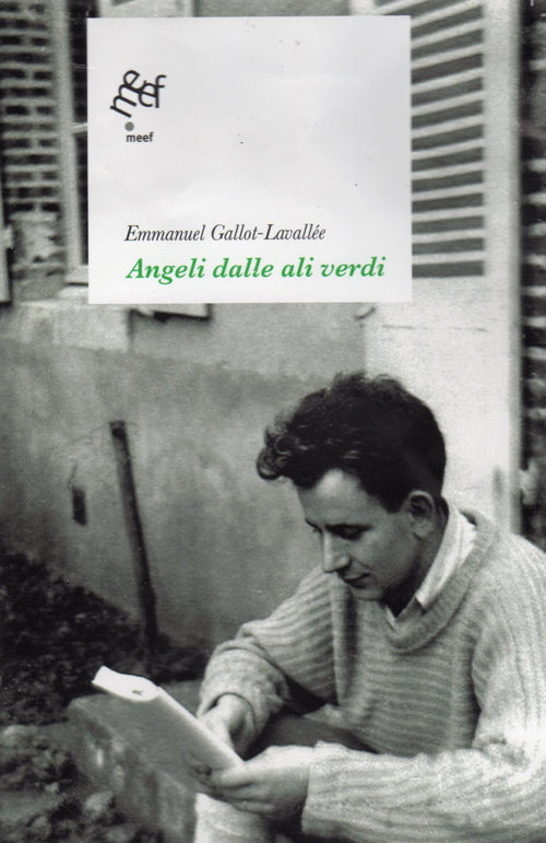 Cover of Angeli dalle ali verdi