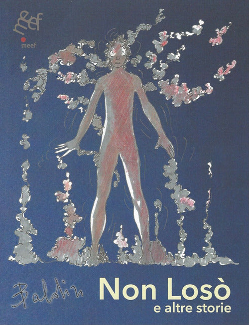 Cover of Non Losò e altre storie