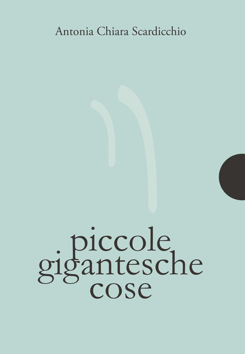 Cover of Piccole gigantesche cose