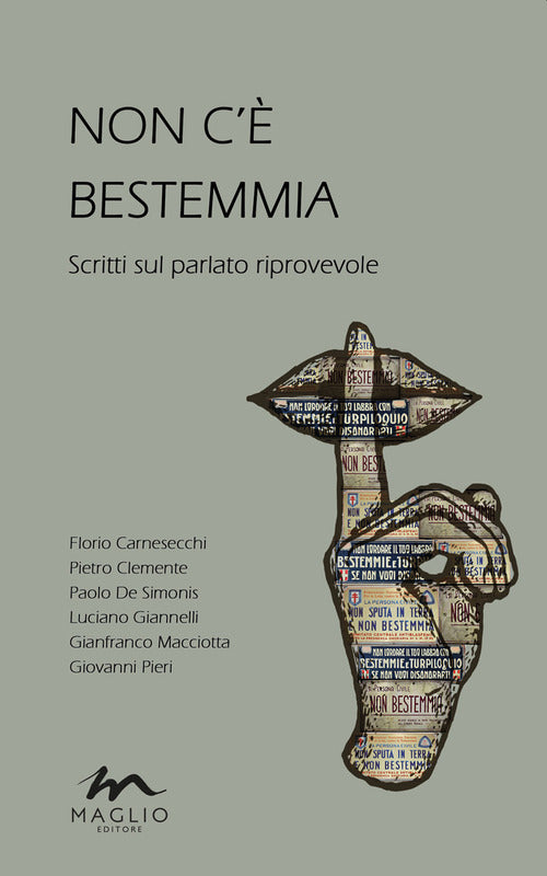 Cover of Non c'è bestemmia. Scritti sul parlato riprovevole