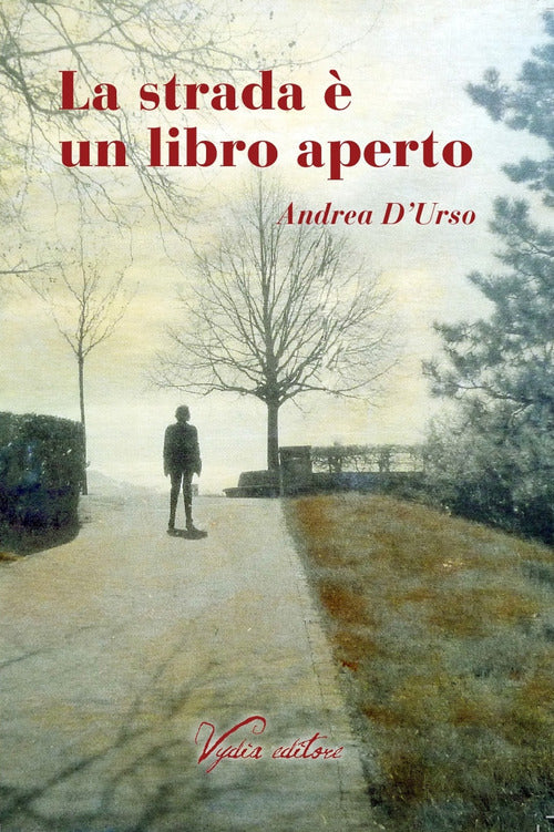 Cover of strada è un libro aperto