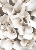 Cover of Foglia-me. Ediz. italiana e inglese
