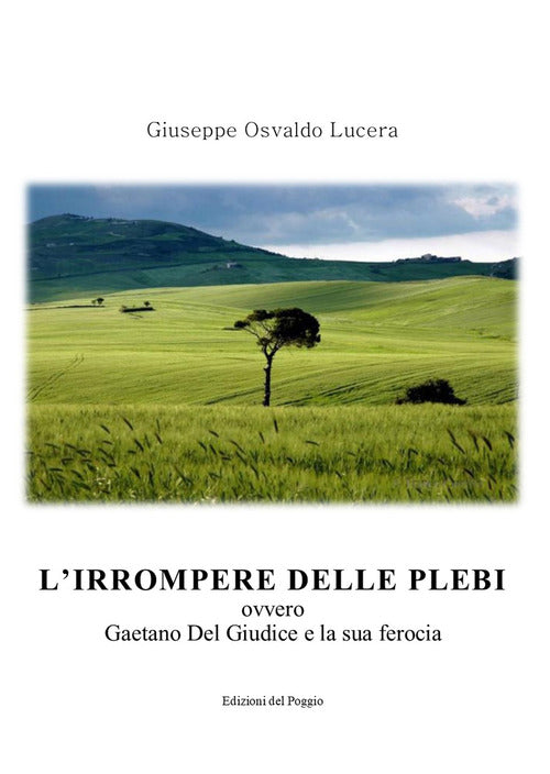 Cover of irrompere delle plebi. Ovvero Gaetano Del Giudice e la sua ferocia