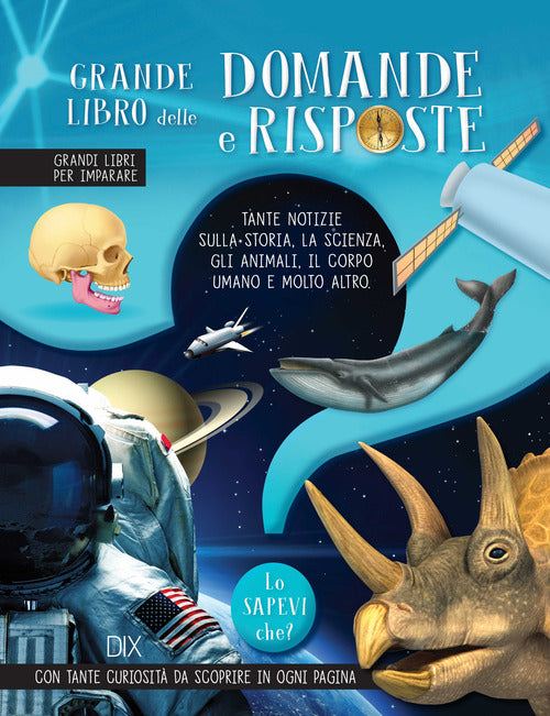 Cover of Grande libro delle domande e risposte