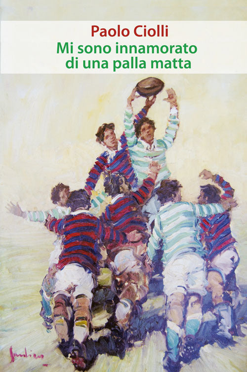 Cover of Mi sono innamorato di una palla matta