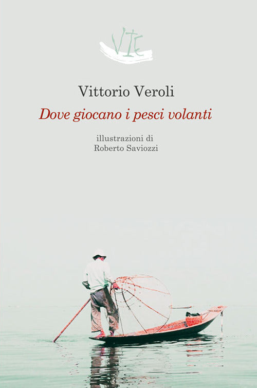 Cover of Dove giocano i pesci volanti