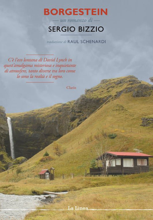 Cover of Borgestein