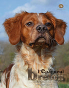Cover of épagneul breton