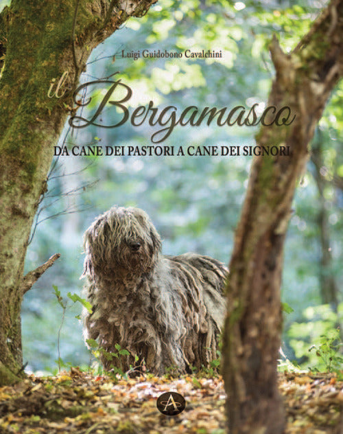 Cover of bergamasco. Da cane dei pastori a cane dei signori