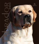 Cover of Labrador Retriver. Monografia fotografica