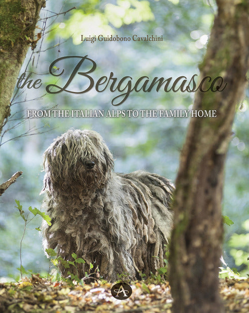 Cover of bergamasco. From the Italian Alps to the family home