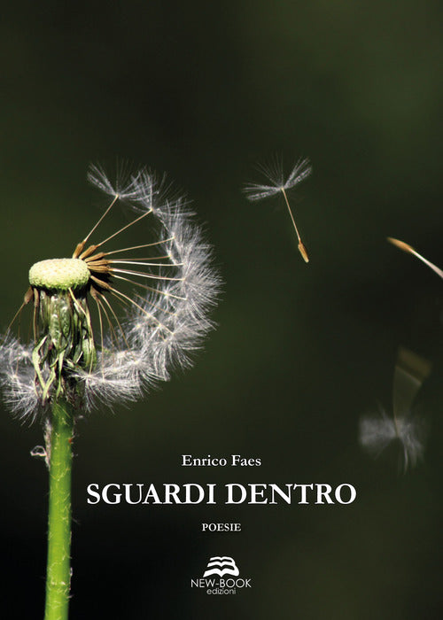 Cover of Sguardi dentro