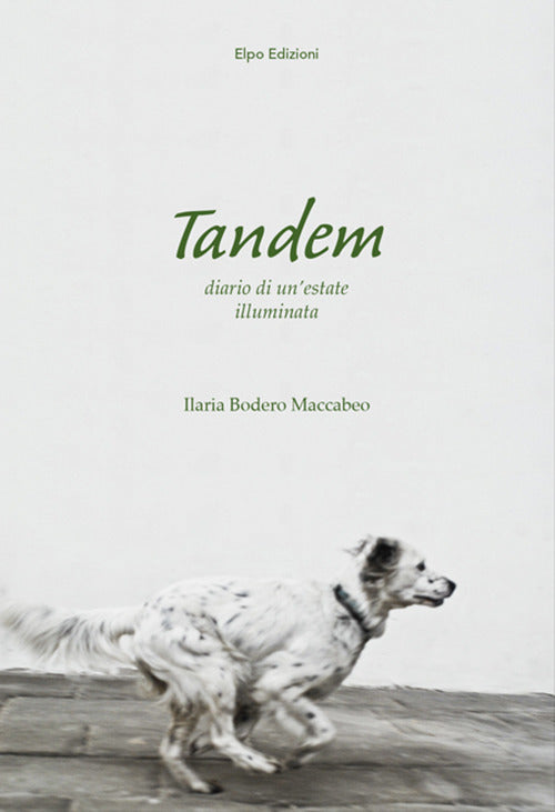 Cover of Tandem. Diario di un'estate illuminata