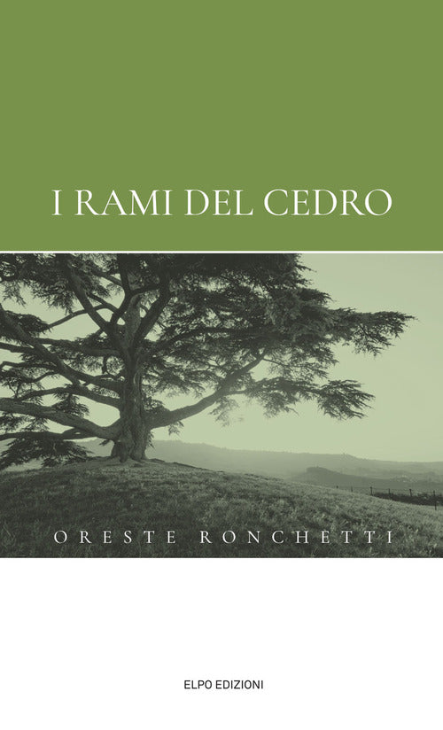 Cover of rami del cedro