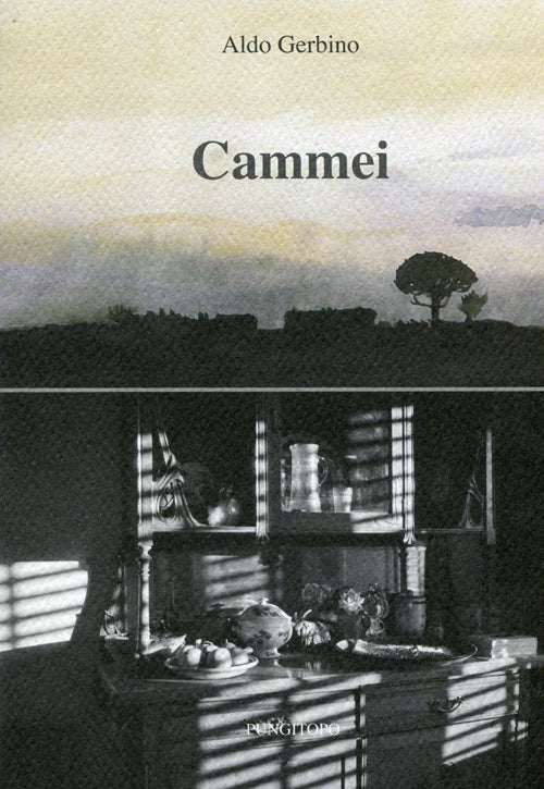 Cover of Cammei