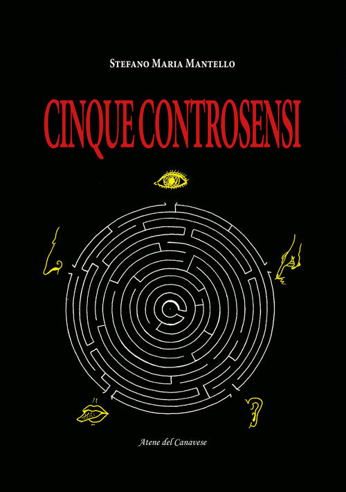 Cover of Cinque controsensi