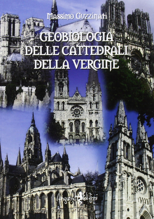 Cover of Geobiologia delle cattedrali della vergine