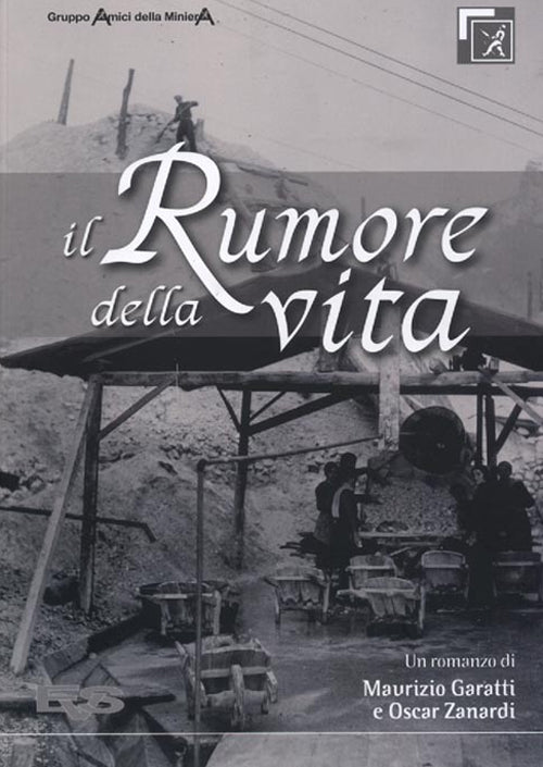 Cover of rumore della vita