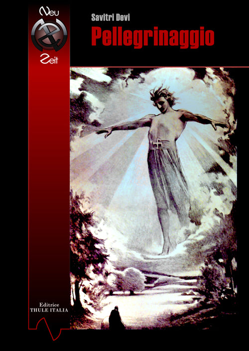 Cover of Pellegrinaggio