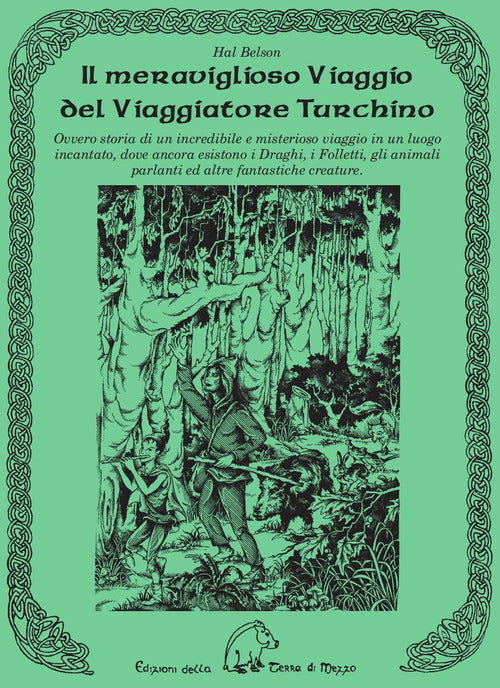 Cover of meraviglioso viaggio del viaggiatore turchino
