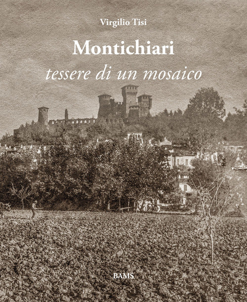 Cover of Montichiari. Tessere di un mosaico