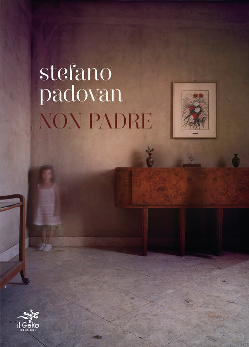 Cover of Non padre
