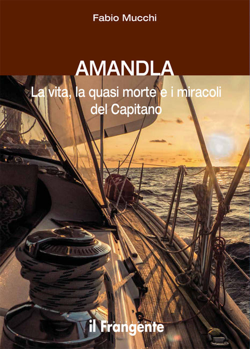Cover of Amandla. La vita, la quasi morte e i miracoli del Capitano