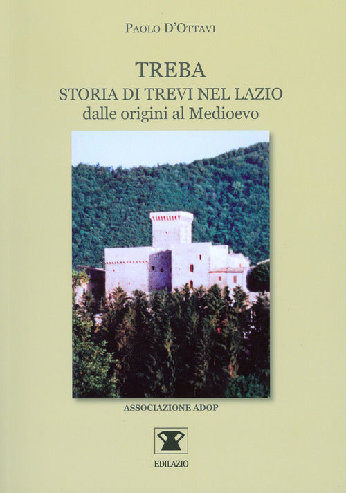 Cover of Treba. Storia di Trevi nel Lazio dalle origini al Medioevo