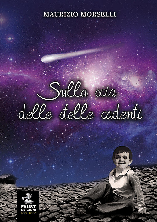 Cover of Sulla scia delle stelle cadenti