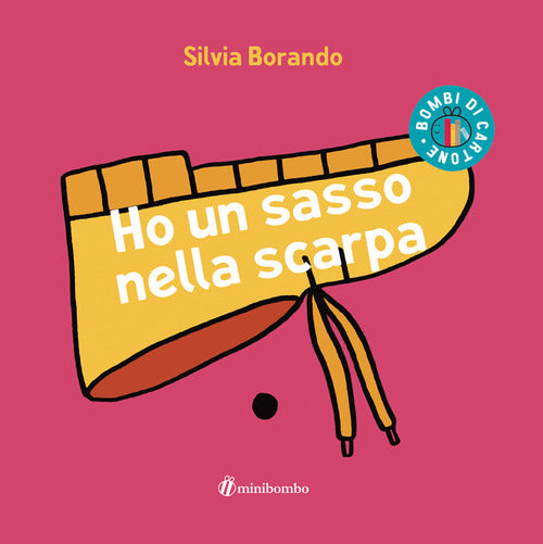 Cover of Ho un sasso nella scarpa